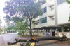 Mangaluru : Heavy rains uproot huge tree at Mannagudda